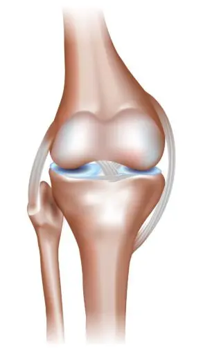 Kolana Lubia Ruch Informacja Prasowa Zdjecie Kolana Carolina Medical Center 293x512 1