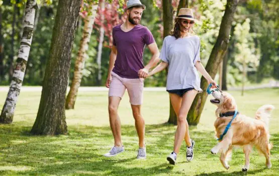 Dzień-Leniwych-Spacerów-555x350 Dzien Leniwych Spacerow 555x350 1