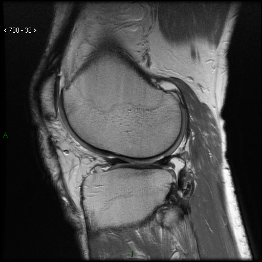 Fig. 1 – examination performed at the Carolina Medical Center