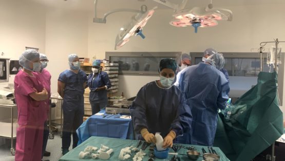 dr-Urszula-Zdanowicz_szkolenie_protezy-custom-made-stawu-kolanowego_Carolina-Medical-Center-555x313