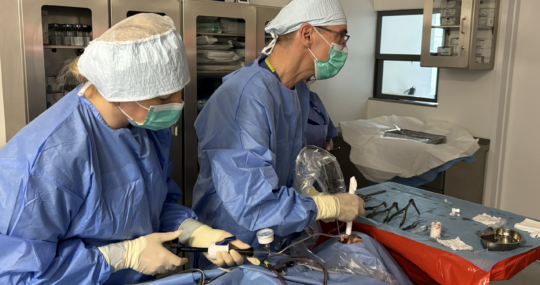Laryngologia